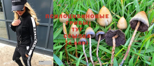 мдпв Богданович
