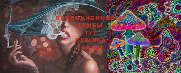 трава Бронницы