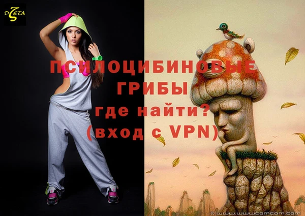 мдпв Богданович
