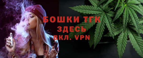 мдпв Богданович
