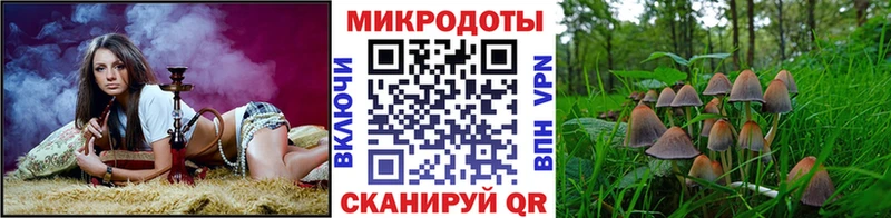 Псилоцибиновые грибы мухоморы  Крым 